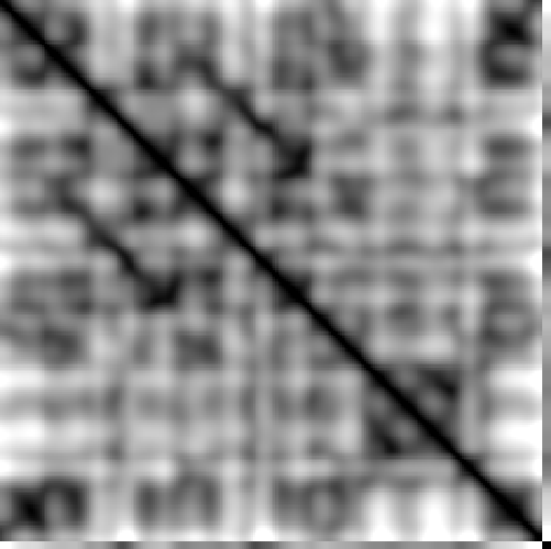 Self-similarity matrix